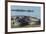 American Alligators Sunning, Myakka River, Myakka River Sp, Florida-Maresa Pryor-Framed Photographic Print