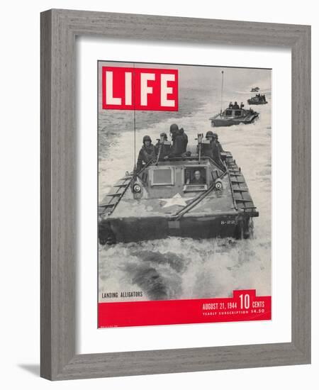 American Amphibious Tractors, Alligators, in action, August 21, 1944-John Florea-Framed Photographic Print