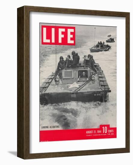 American Amphibious Tractors, Alligators, in action, August 21, 1944-John Florea-Framed Photographic Print