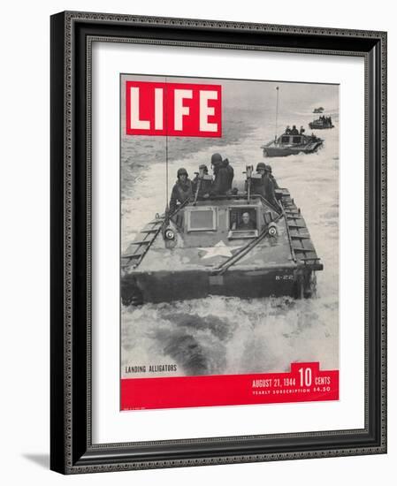 American Amphibious Tractors, Alligators, in action, August 21, 1944-John Florea-Framed Photographic Print