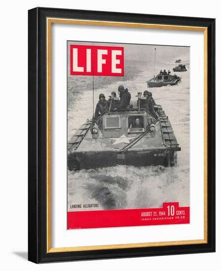 American Amphibious Tractors, Alligators, in action, August 21, 1944-John Florea-Framed Photographic Print