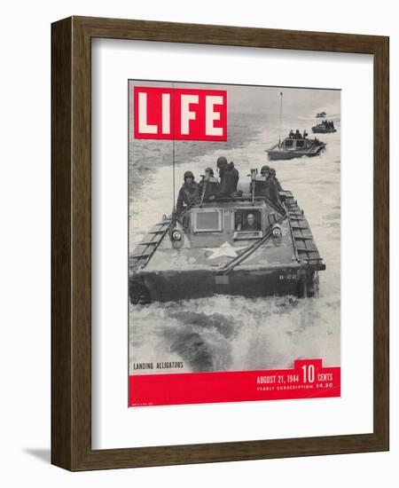 American Amphibious Tractors, Alligators, in action, August 21, 1944-John Florea-Framed Photographic Print