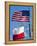 American and Texan Flags, Texas, USA-Ethel Davies-Framed Premier Image Canvas