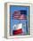 American and Texan Flags, Texas, USA-Ethel Davies-Framed Premier Image Canvas