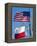 American and Texan Flags, Texas, USA-Ethel Davies-Framed Premier Image Canvas