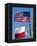 American and Texan Flags, Texas, USA-Ethel Davies-Framed Premier Image Canvas