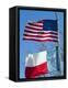 American and Texan Flags, Texas, USA-Ethel Davies-Framed Premier Image Canvas