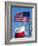 American and Texan Flags, Texas, USA-Ethel Davies-Framed Photographic Print