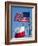 American and Texan Flags, Texas, USA-Ethel Davies-Framed Photographic Print