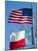 American and Texan Flags, Texas, USA-Ethel Davies-Mounted Photographic Print