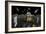 American Apollo Astronauts on the Lunar Surface-null-Framed Art Print