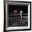 American Astronaut Edwin "Buzz" Aldrin Walking on the Moon on July 20, 1969-null-Framed Photo