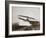 American aviator Glenn Curtiss making the first heavier-than-air flight in his 'June Bug', 1908-Edwin Levick-Framed Photographic Print