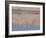 American Avocet, Salton Sea Area, Imperial County, California, USA-Diane Johnson-Framed Photographic Print