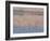 American Avocet, Salton Sea Area, Imperial County, California, USA-Diane Johnson-Framed Photographic Print