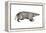 American Badger (Taxidea Taxus), Weasel, Mammals-Encyclopaedia Britannica-Framed Stretched Canvas