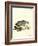 American Badger-null-Framed Giclee Print