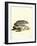 American Badger-null-Framed Giclee Print