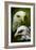 American Bald Eagle III-Gordon Semmens-Framed Giclee Print