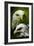 American Bald Eagle III-Gordon Semmens-Framed Giclee Print