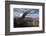 American Bald Eagle Mountains-null-Framed Art Print