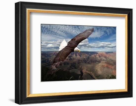 American Bald Eagle Mountains-null-Framed Art Print