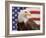 American Bald Eagle Portrait Against USA Flag-Lynn M^ Stone-Framed Photographic Print