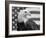 American Bald Eagle Portrait Against USA Flag-Lynn M. Stone-Framed Photographic Print