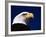 American Bald Eagle-Joseph Sohm-Framed Photographic Print