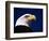 American Bald Eagle-Joseph Sohm-Framed Photographic Print