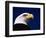 American Bald Eagle-Joseph Sohm-Framed Photographic Print