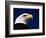 American Bald Eagle-Joseph Sohm-Framed Photographic Print