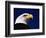 American Bald Eagle-Joseph Sohm-Framed Photographic Print