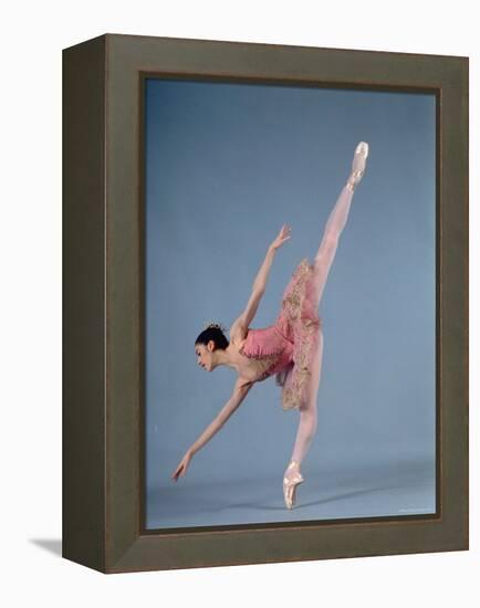 American Ballet Theater Ballerina Paloma Herrera in Graceful Move Ballet "Themes and Variations"-Ted Thai-Framed Premier Image Canvas