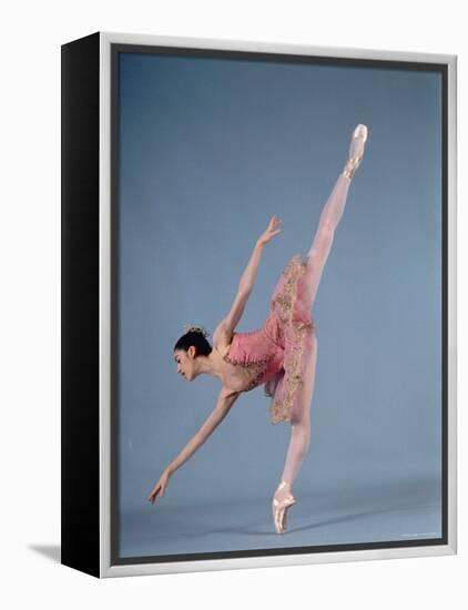 American Ballet Theater Ballerina Paloma Herrera in Graceful Move Ballet "Themes and Variations"-Ted Thai-Framed Premier Image Canvas