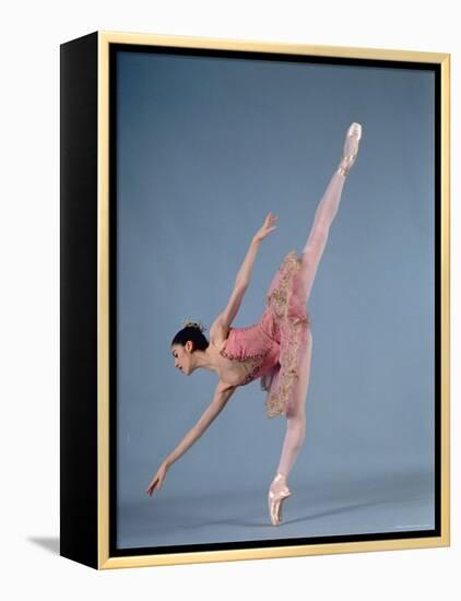 American Ballet Theater Ballerina Paloma Herrera in Graceful Move Ballet "Themes and Variations"-Ted Thai-Framed Premier Image Canvas