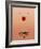 American Beauty-NaxArt-Framed Art Print