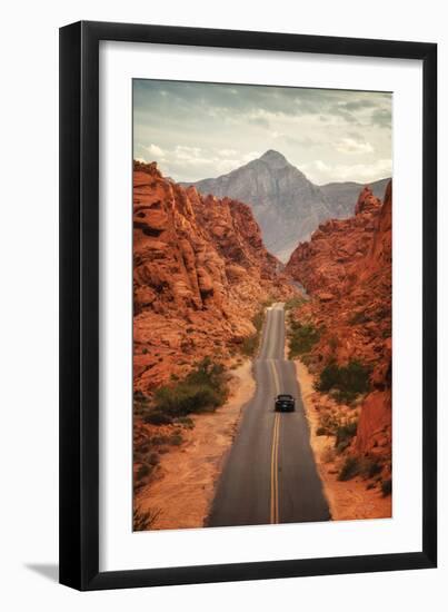 American Beauty-Martin Podt-Framed Art Print