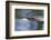 American Beaver Swimming in Pond-Ken Archer-Framed Photographic Print