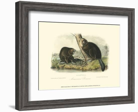 American Beaver-John James Audubon-Framed Art Print