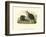 American Beaver-John James Audubon-Framed Art Print