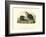 American Beaver-John James Audubon-Framed Art Print