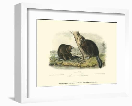 American Beaver-John James Audubon-Framed Art Print