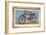 'American Bicycle', 1939-Unknown-Framed Giclee Print