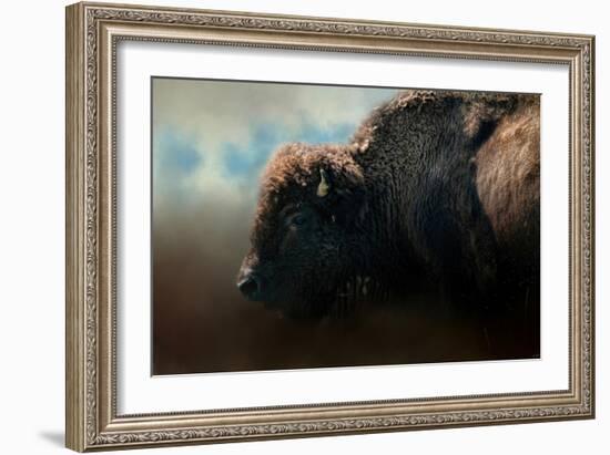 American Bison after the Storm-Jai Johnson-Framed Giclee Print