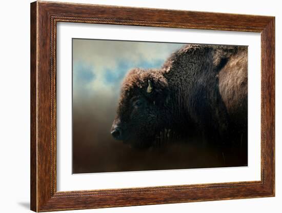 American Bison after the Storm-Jai Johnson-Framed Giclee Print