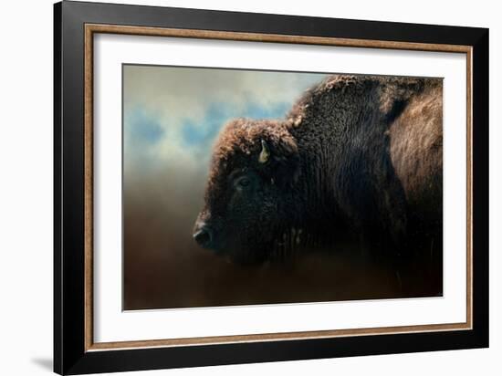 American Bison after the Storm-Jai Johnson-Framed Giclee Print