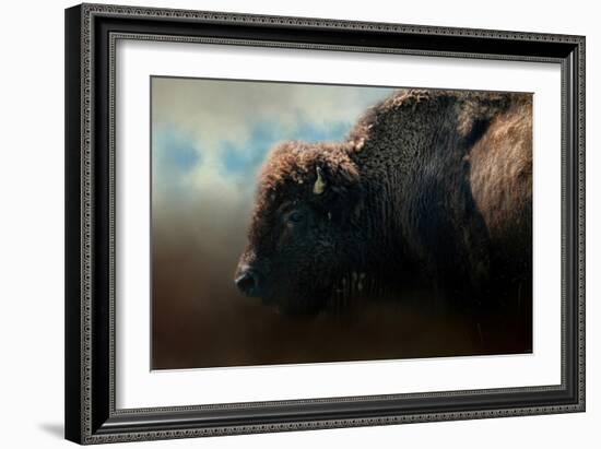 American Bison after the Storm-Jai Johnson-Framed Giclee Print