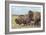 American Bison (Bison Bison)-null-Framed Giclee Print