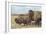 American Bison (Bison Bison)-null-Framed Giclee Print